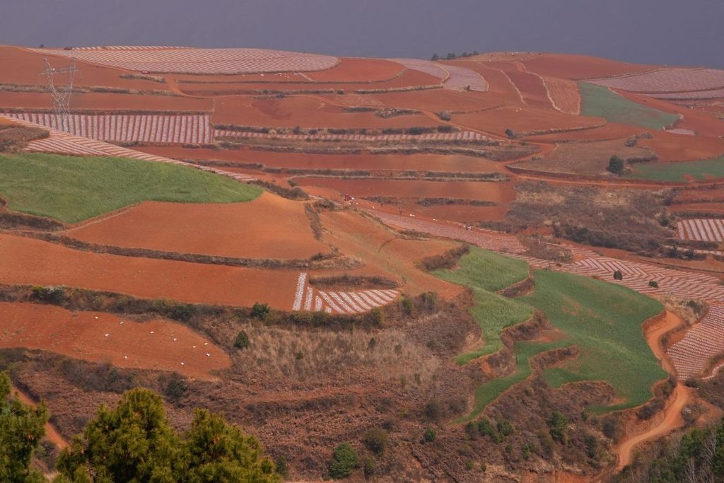 Yunnan 7