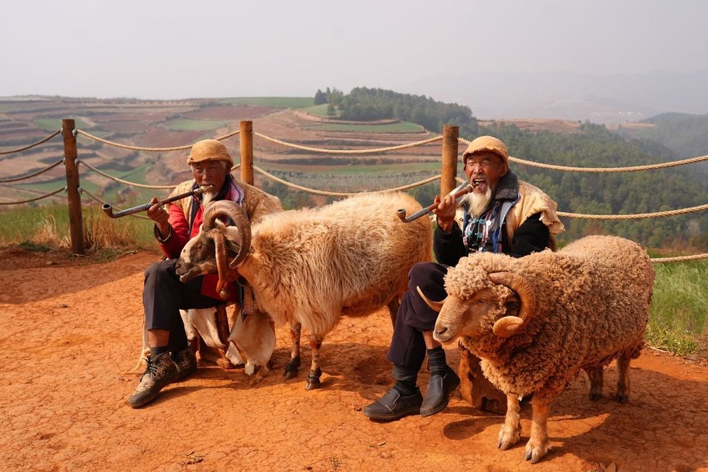 Yunnan 4