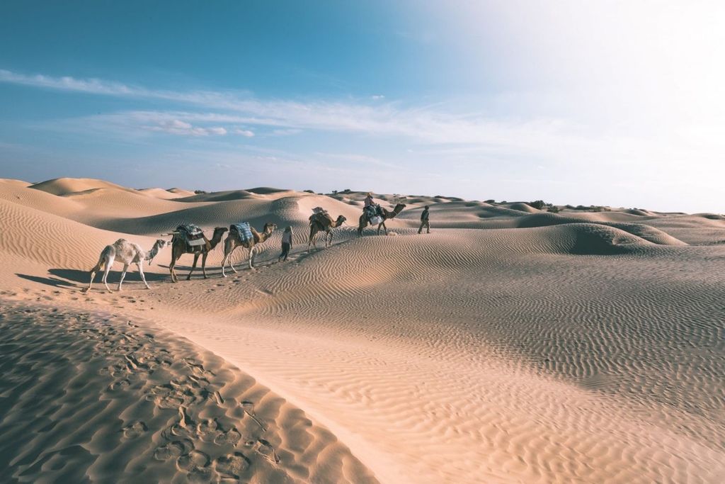 Tunisia hero 7