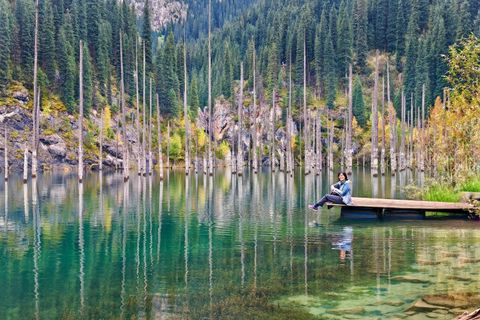 Wondrous Journey Product pictures (1)