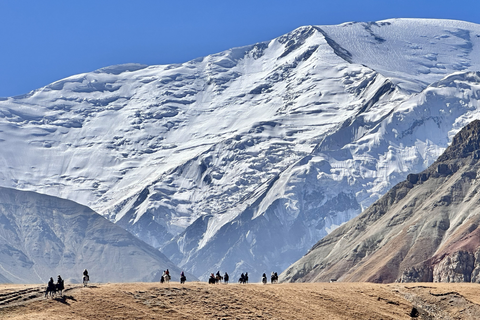 Wondrous Journey Product pictures