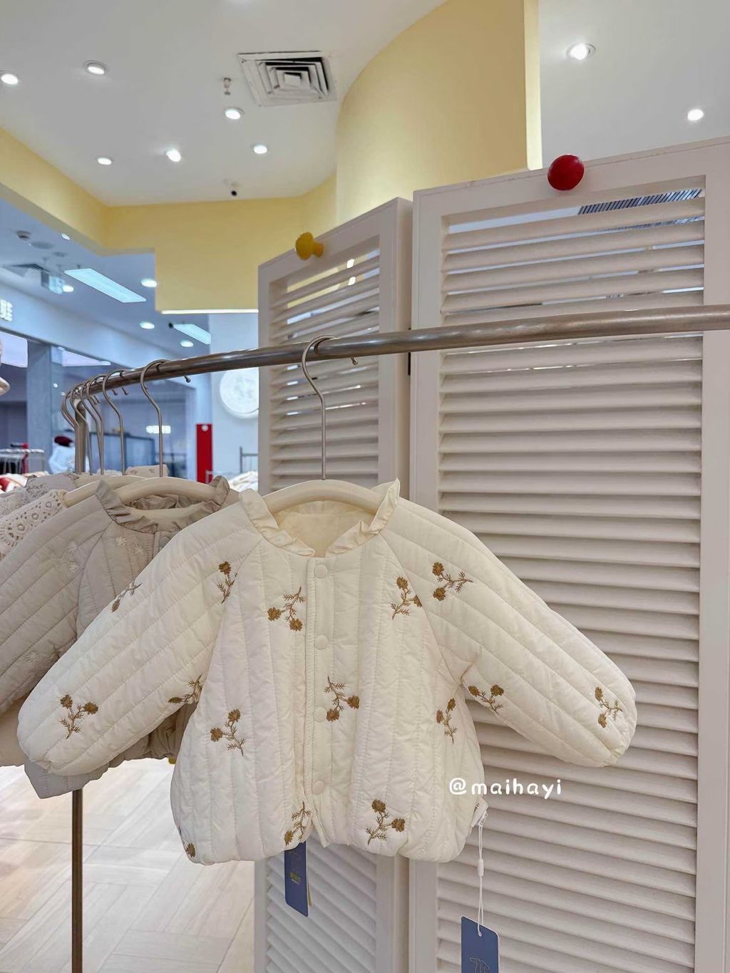 image_588717B4-8204-4A95-BB4D-E2BBDBD836EE_1764823558