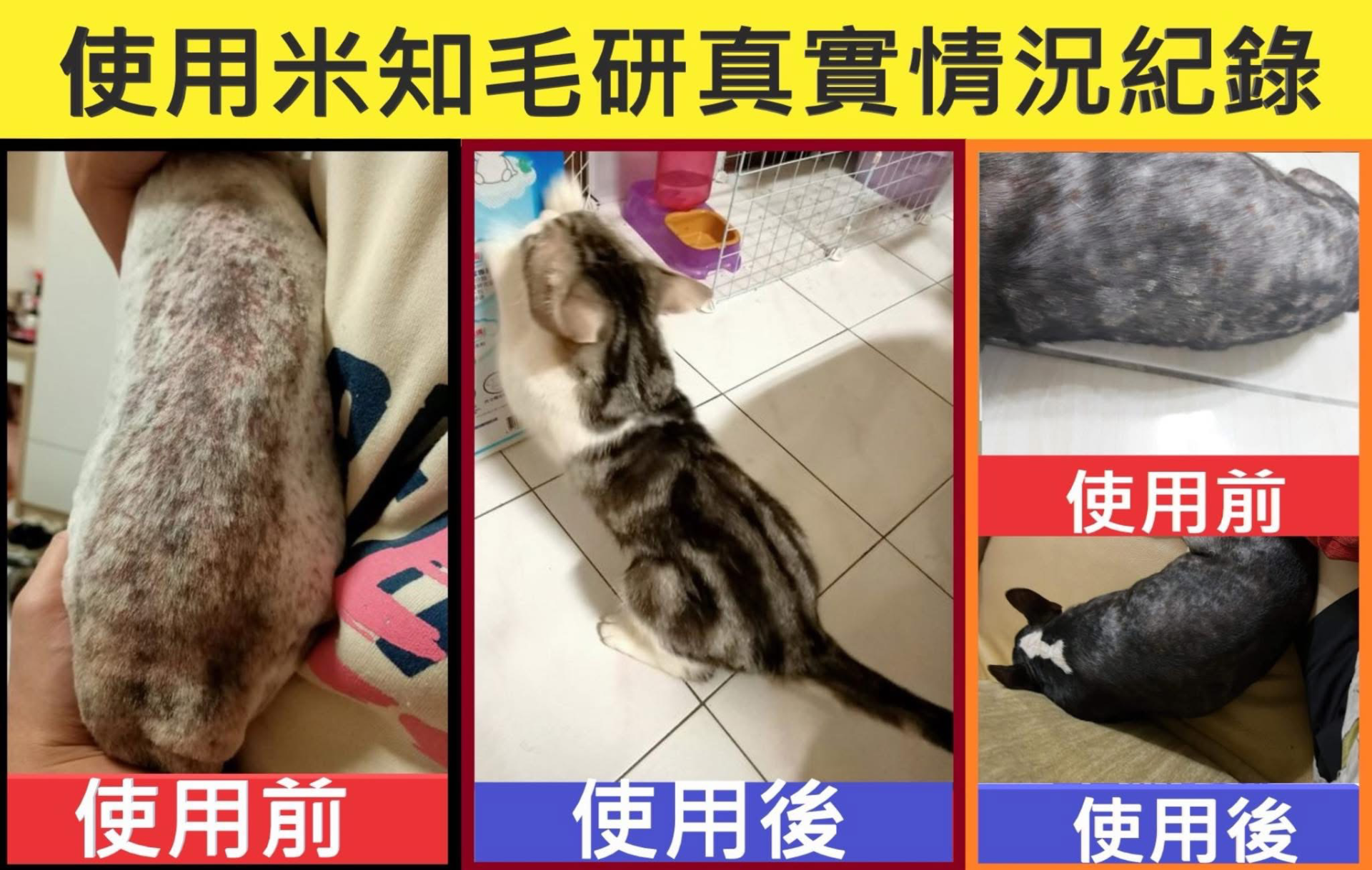 eb5896541d739898094ec74fb0f665d6