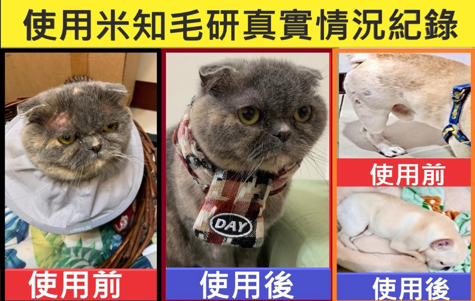 46d88eccf0557c981b269cc10bb5f1d1