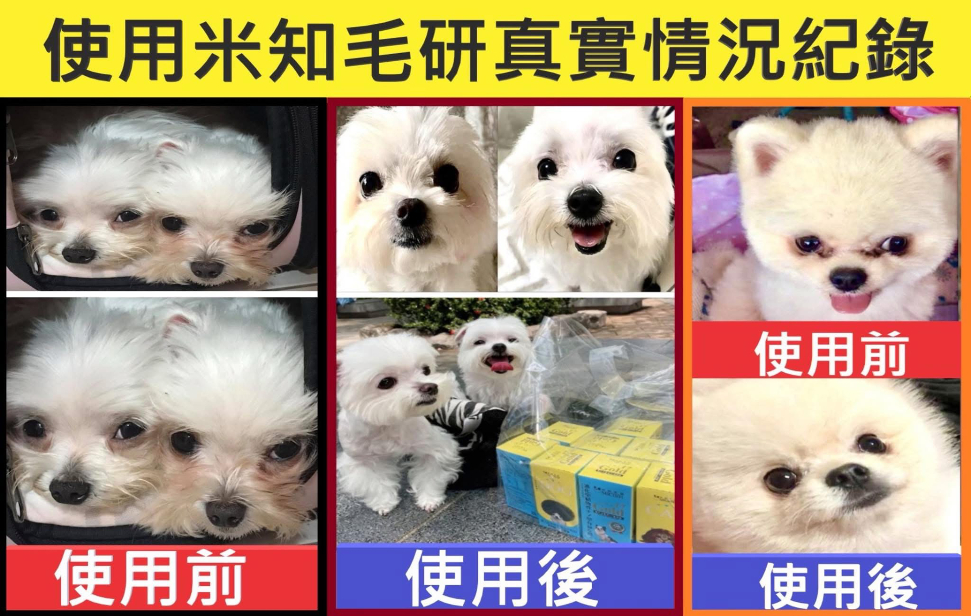 8319a251a1ba2c8dfb436b16e5c9668c