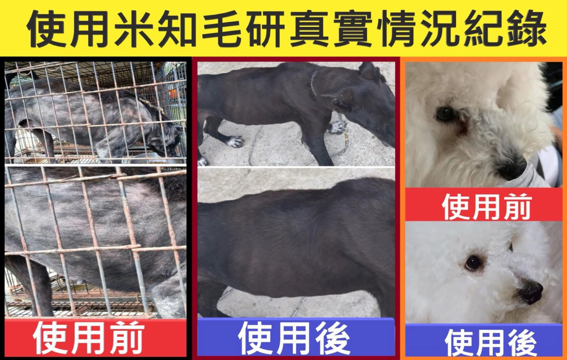 9144872830a34c35bb16d751ee06b593