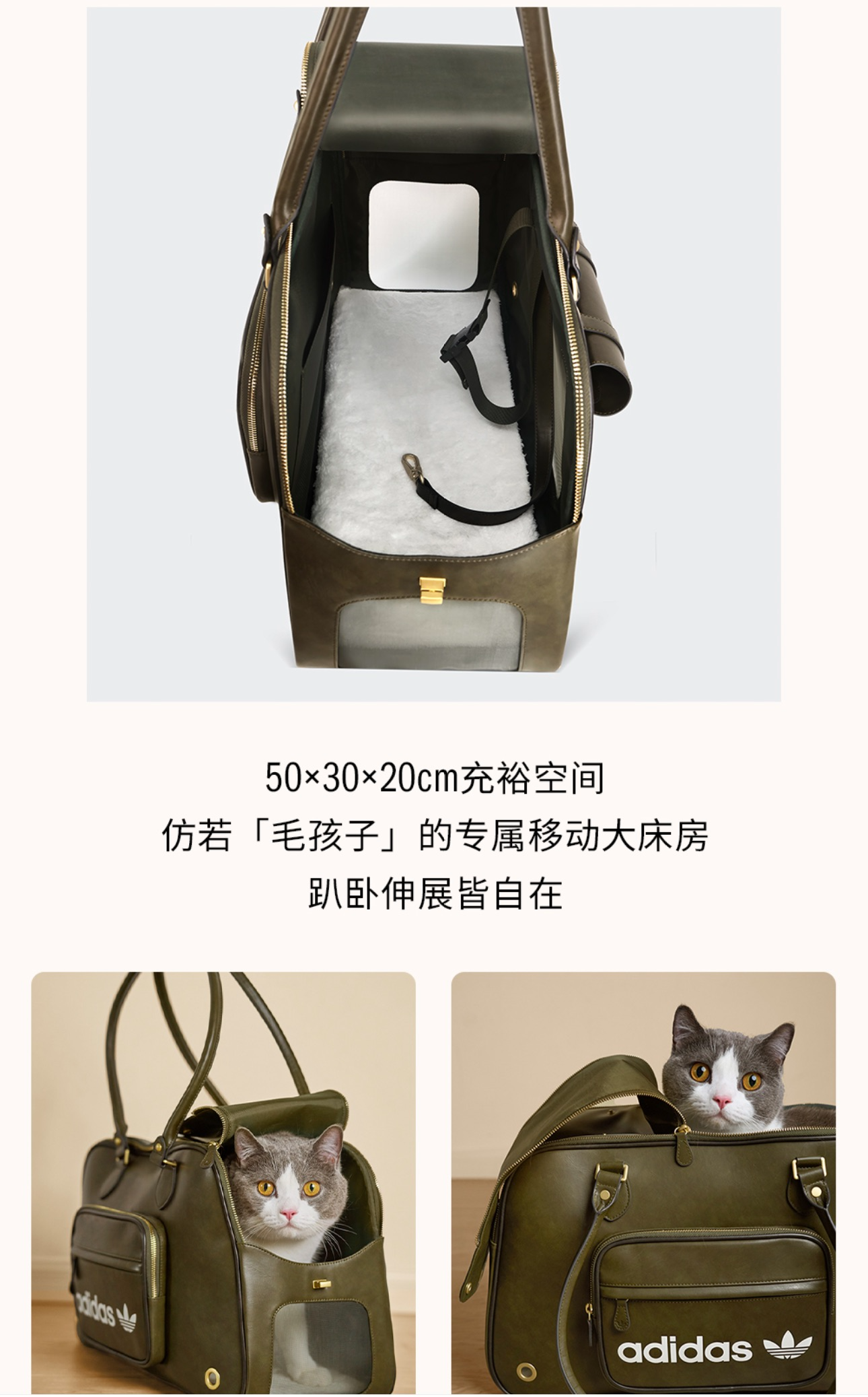 1169c9989fbc4dbb43d0306c478fad22