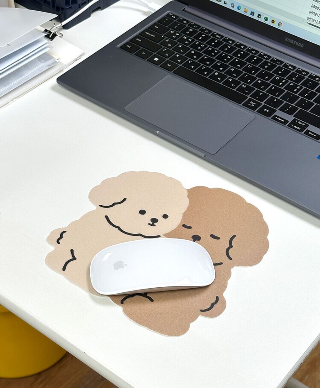 image_21565577-A4BC-43CA-A52F-67439811E542_1772550190