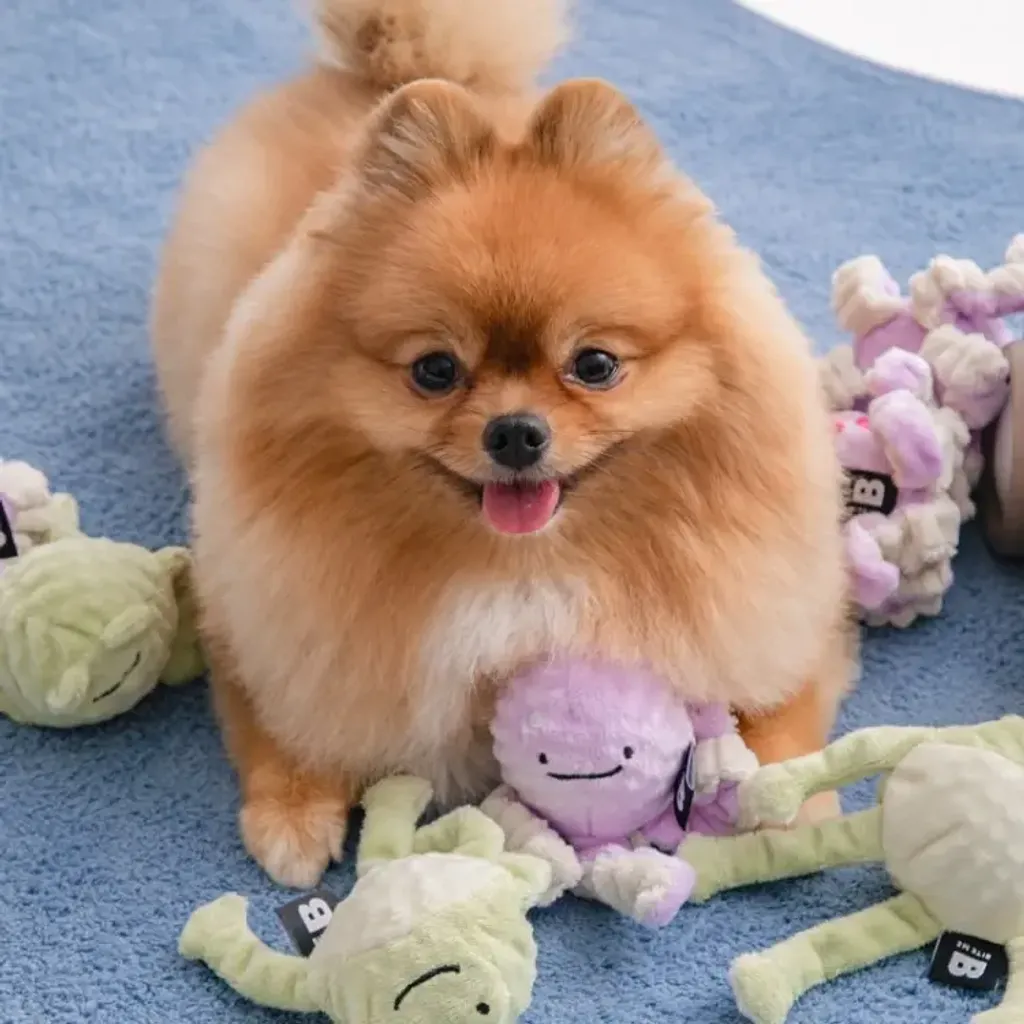 image_2D6B5052-9523-4C0B-B984-3B5039D6A9D4_1773129470