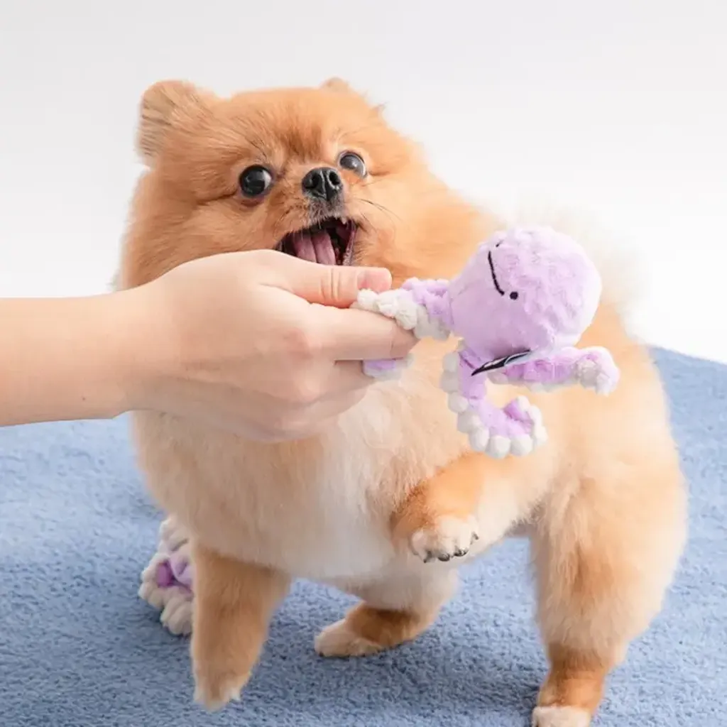 image_A15D298D-BA4B-4B71-B066-2D6ADE591669_1773129470