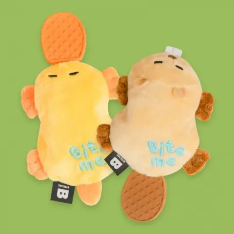 image_A20FA727-1B75-4032-90C9-56906589ACB4_1773129676