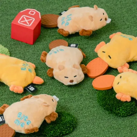 image_E7D2A8E5-CBCF-4F5D-AA3B-AC2F440E7A56_1773129676