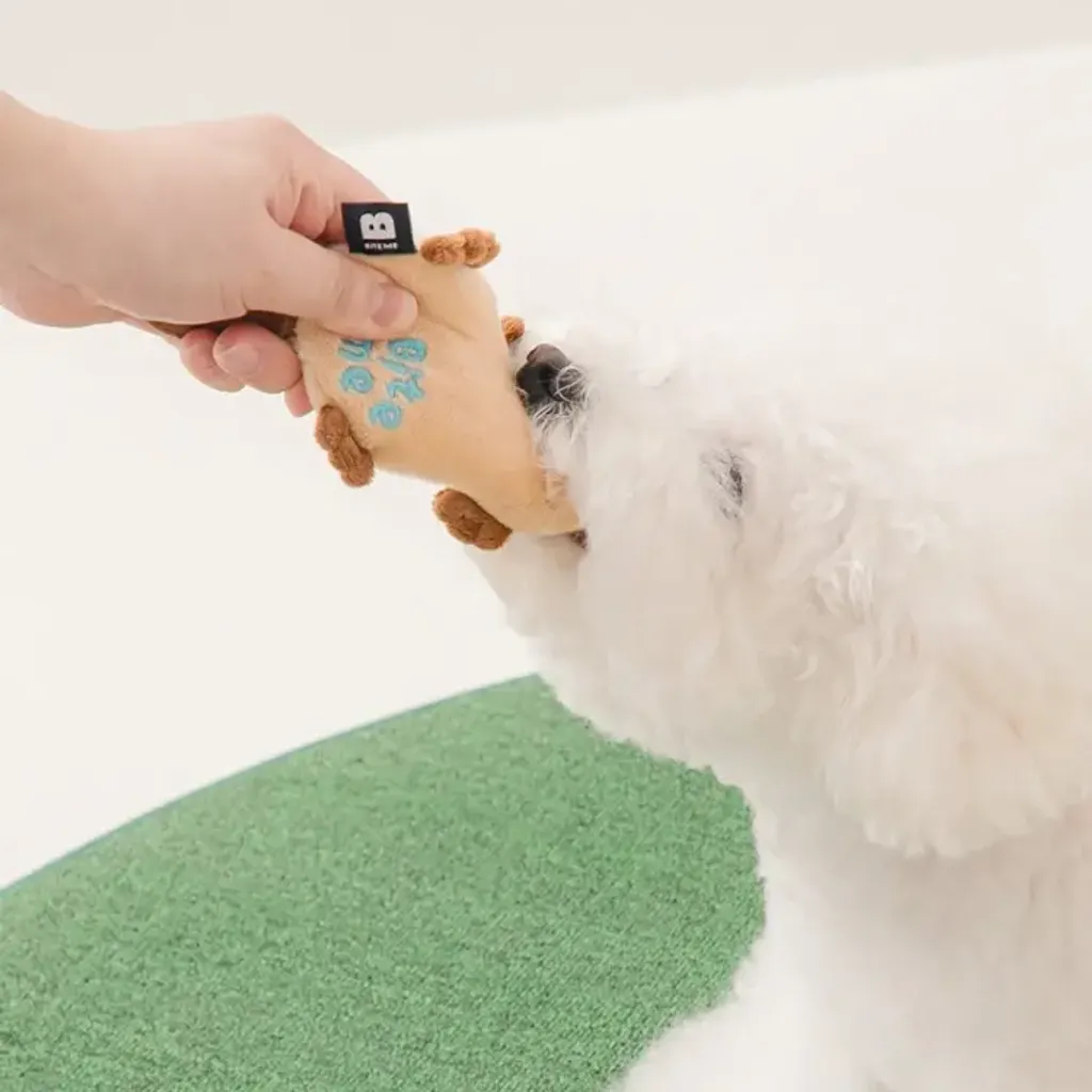 image_8E7C66E6-D31B-466C-A009-C3F65719C255_1773129676