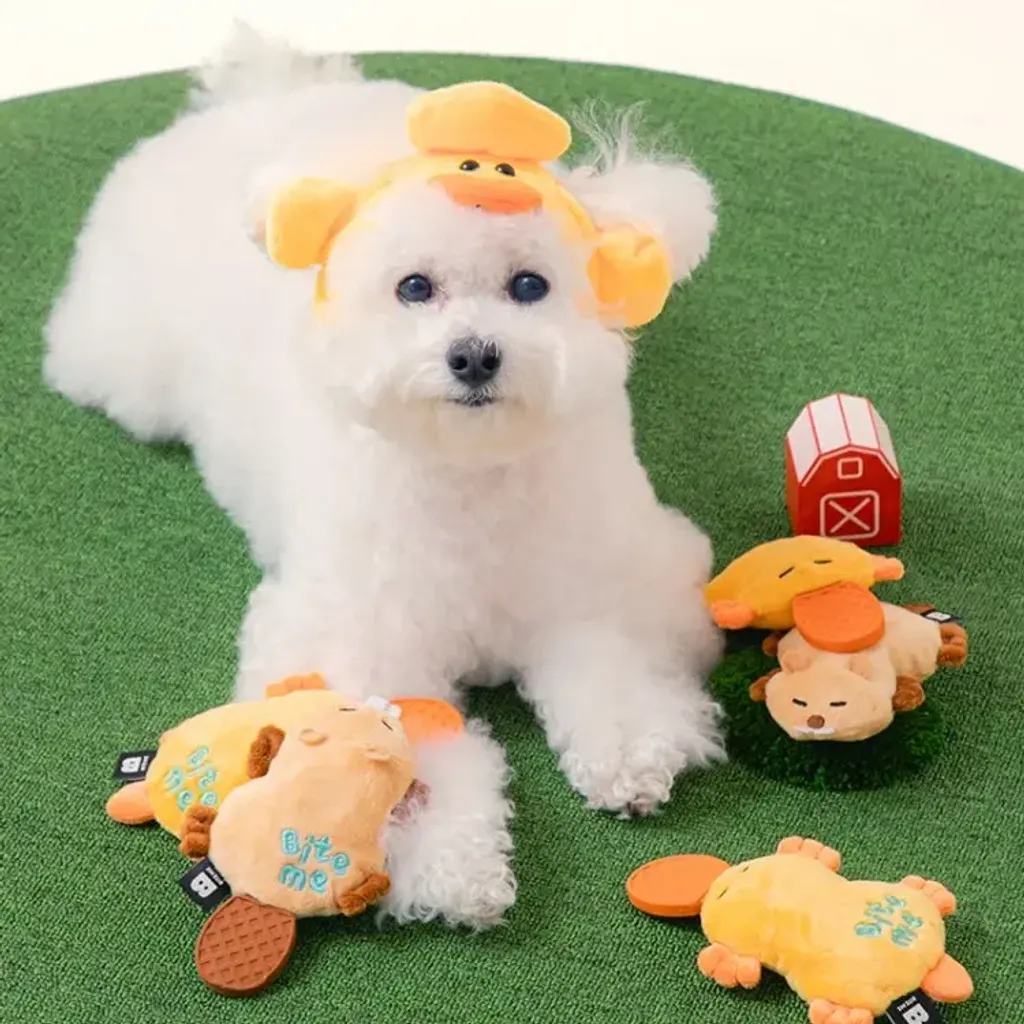 image_62F2FAE6-301A-435C-ACAB-75CEC4260F4D_1773129676