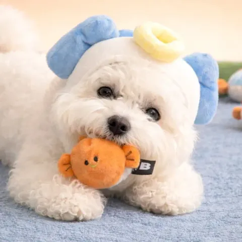 image_C395FEFF-F52A-4AD2-8C9E-791CC5332C9C_1773129998