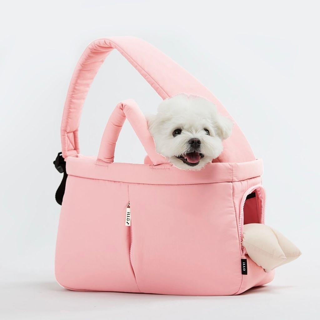 image_4275B3B8-BB08-4C64-9868-3C4E9A78911B_1773133471