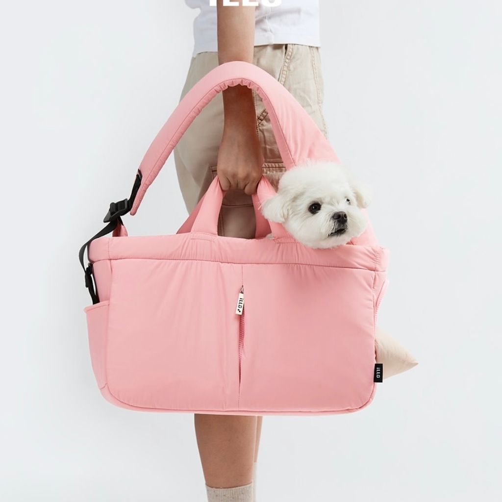 image_699521DE-32C9-4D68-9D19-43FB1466F8AB_1773133471