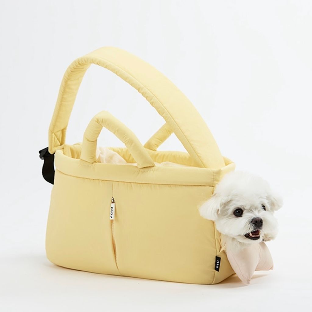 image_3A48ABB1-442A-499C-948A-36309099422C_1773133471