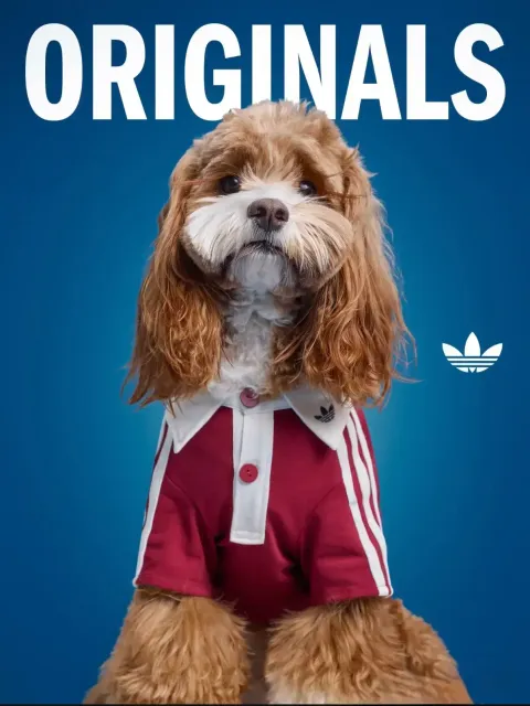 image_BC4761D5-72A8-4992-A9C7-58C9DC9455C3_1769847491