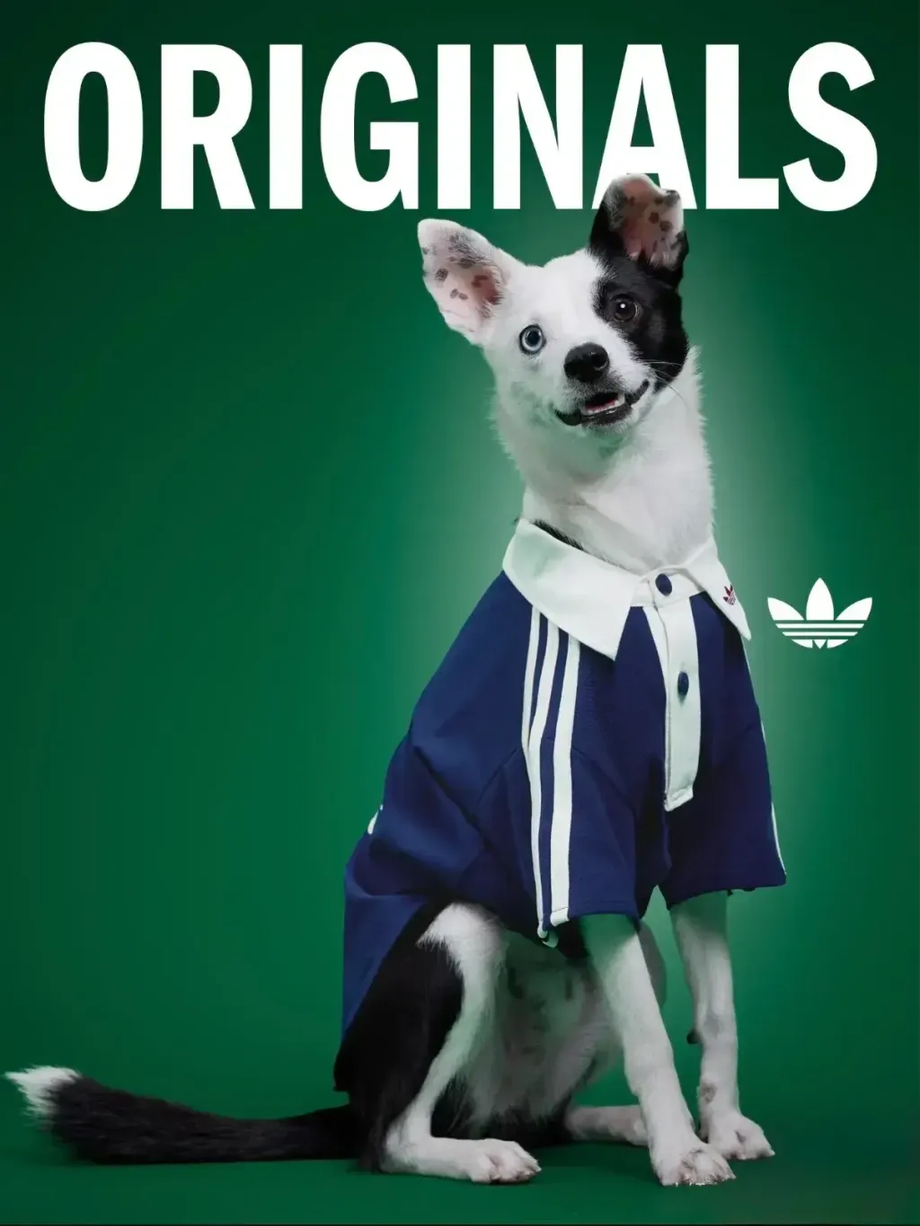 image_F2AC022A-02B7-416B-AE42-58BC251DAA78_1769847491