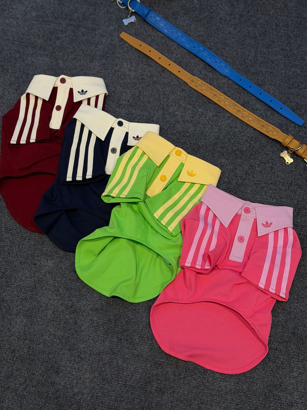 image_D86C0829-F304-4D2A-839F-27788A4D544B_1769847491