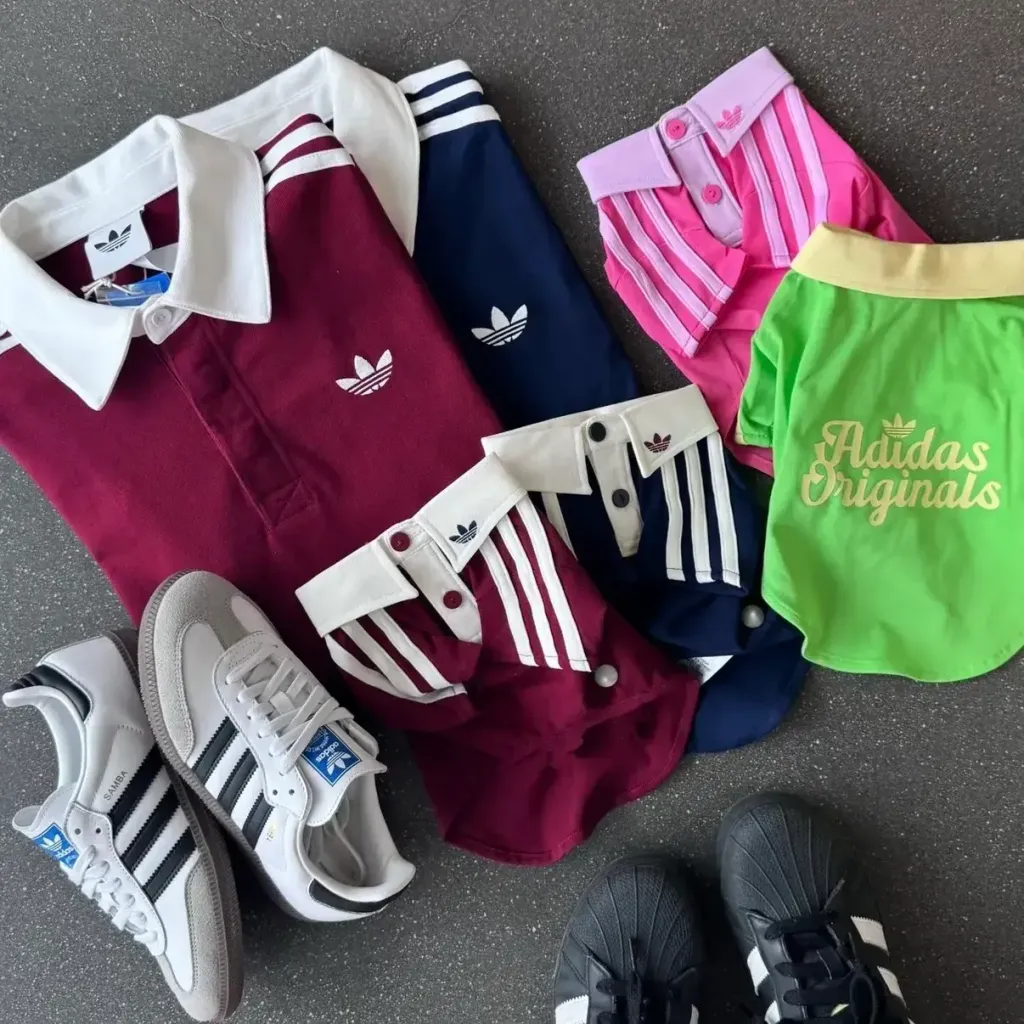 image_638B7E48-B9D9-42D4-9511-CC070E2B5874_1769848129