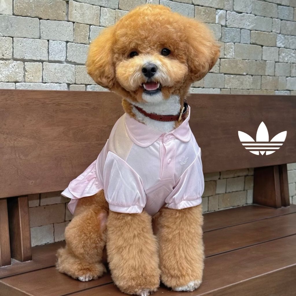 image_A000E8F5-155D-422D-8D3D-905E2F5A16F2_1774897645