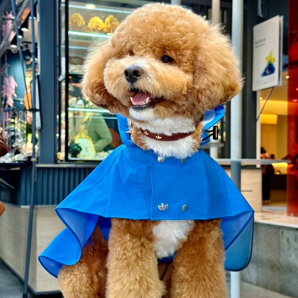 image_C4EA208D-7C59-4A20-B793-9B4AAD3CDC1A_1774899694