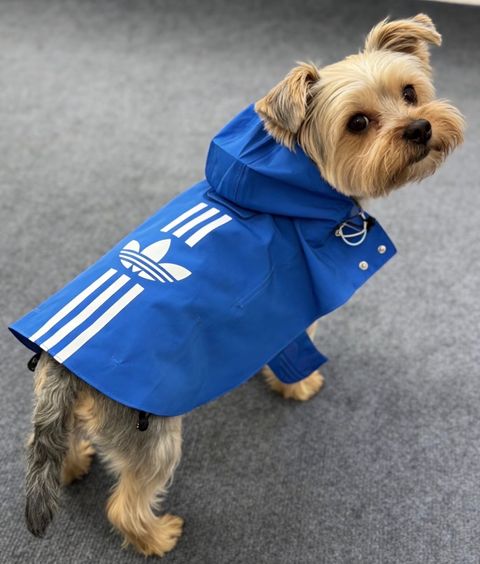 image_9CCA01EB-5094-4EA8-83D8-16FCBD73A02B_1774899694