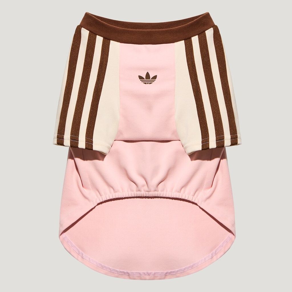 image_BA9AFE4B-1706-445D-98C2-AB582FFE9D2D_1774901662