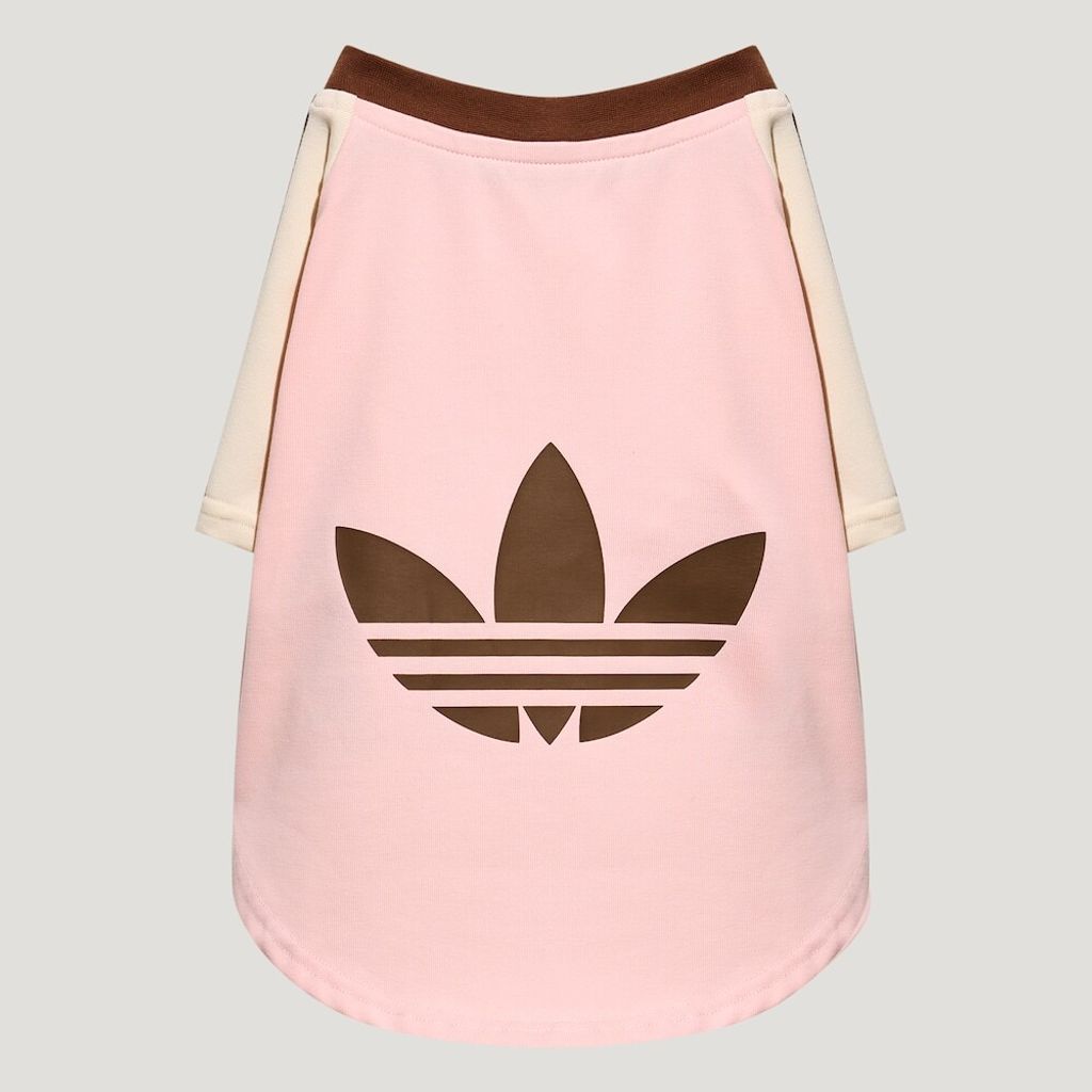 image_C43FFA2D-FA1E-4EE0-8D68-992CFC770671_1774901662