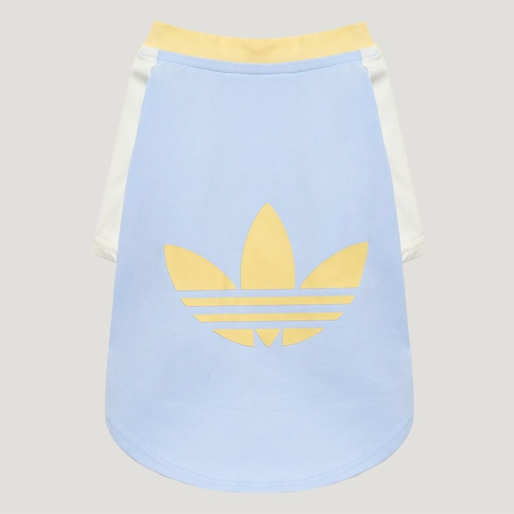 image_AD9C3DFC-A103-41ED-A2A1-81B70ADE96DD_1774901662