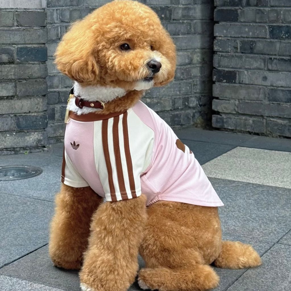 image_7A8475F3-B415-480D-9143-3768287CBA60_1774901834