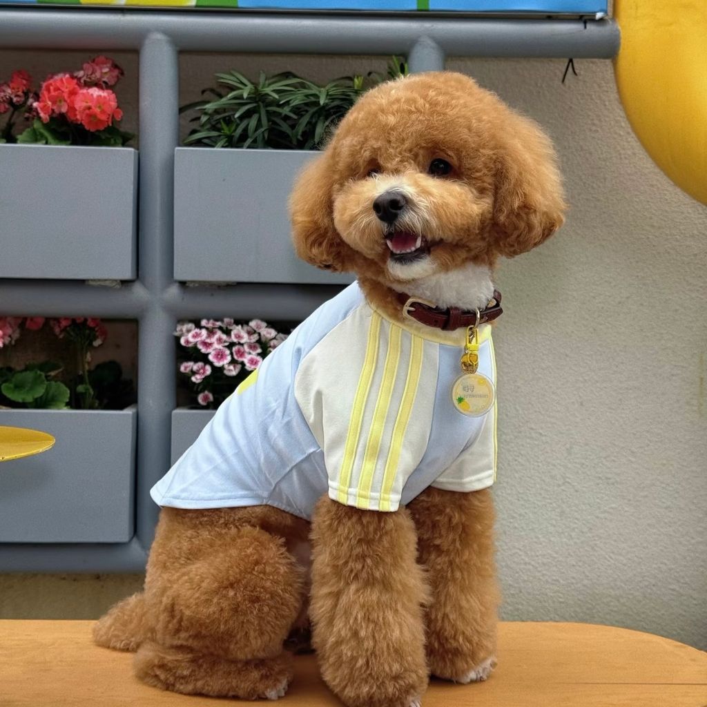 image_EA65BF54-9400-4BFA-B208-A1A0053675F3_1774901834