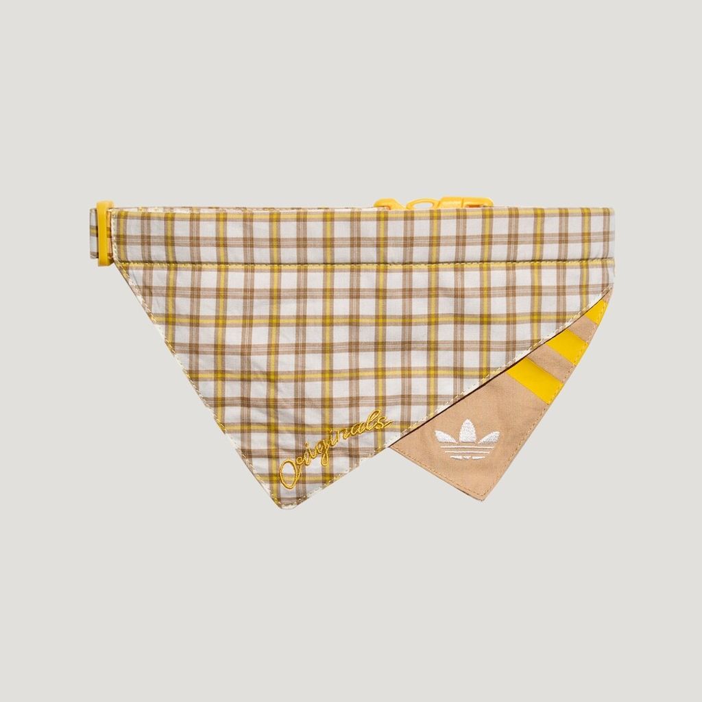 image_BC346C9E-614E-47D9-84BE-B66F1DF5CFFA_1774903267