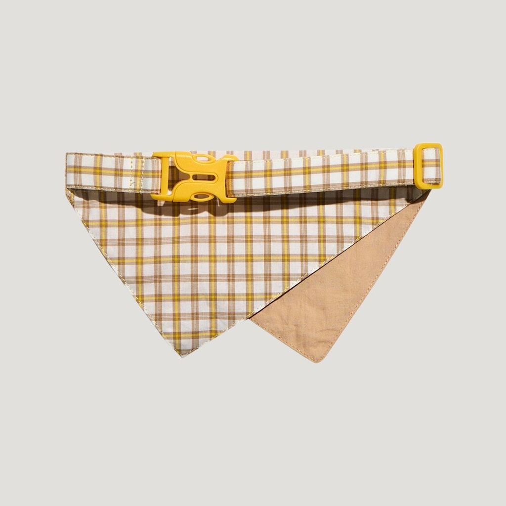 image_B8231903-706E-4742-A149-B66F76B04692_1774903267