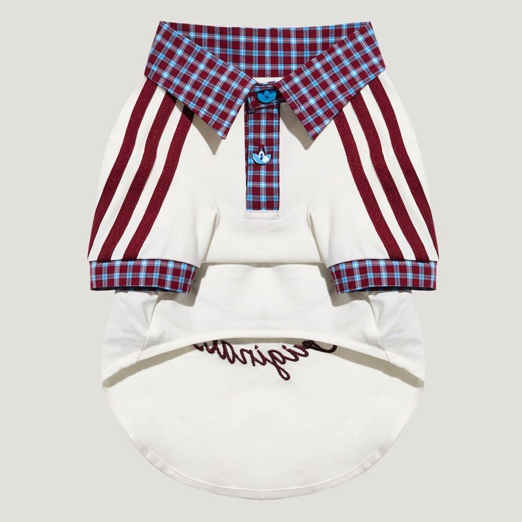 image_20C8DC0E-A8BF-41F6-8EEB-BFD4E9E1C234_1774905481