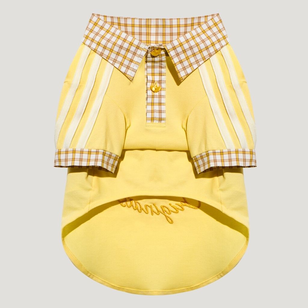 image_59B16D83-0F1C-4DAA-A341-52D10B098126_1774905481