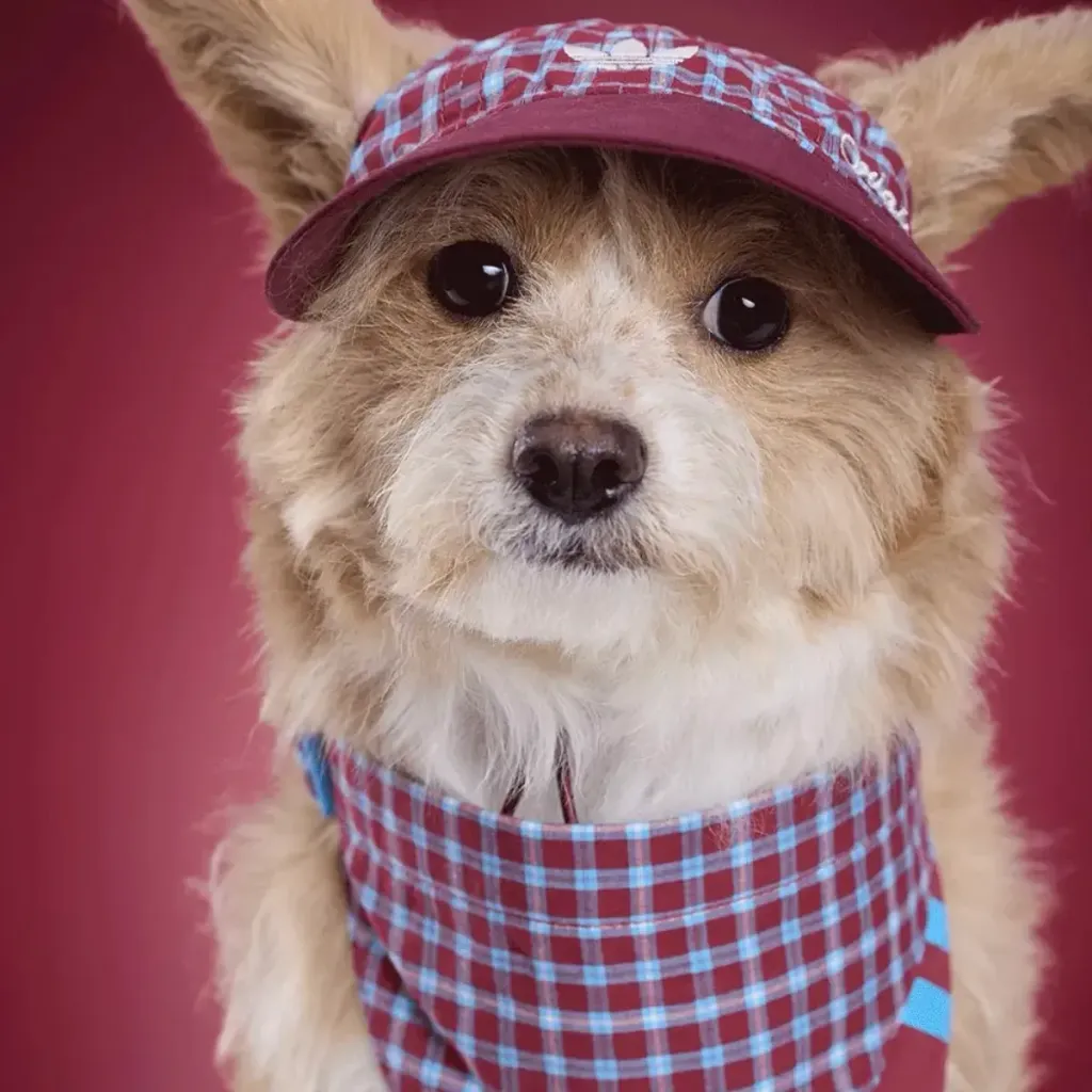 image_028102A1-BEB0-4C94-BE92-374719B31C27_1775023650