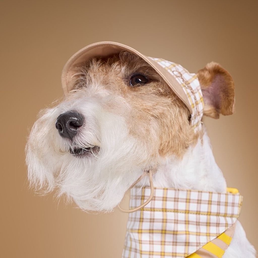 image_8DEE8985-FC63-4CE6-B17F-F21510F687E5_1775023650