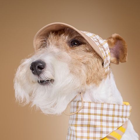 image_8DEE8985-FC63-4CE6-B17F-F21510F687E5_1775023650