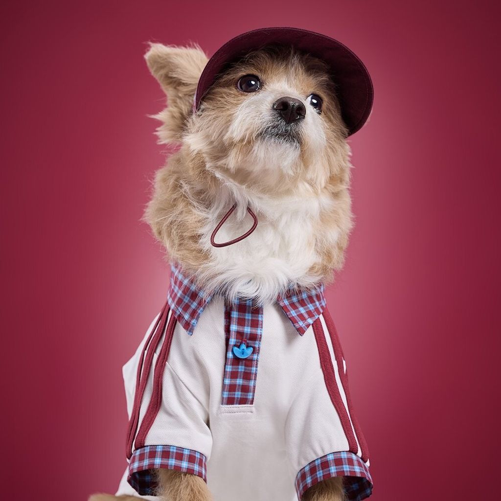 image_CA7C0A44-A68F-4267-918C-DBBD5064D2F0_1775023712