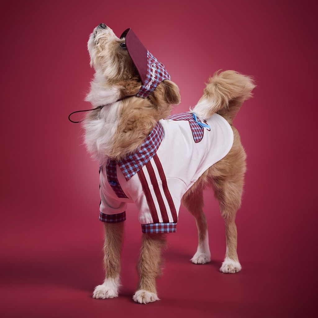 image_114CFAA0-8D7D-4826-9790-4BC44C417FDD_1775023712