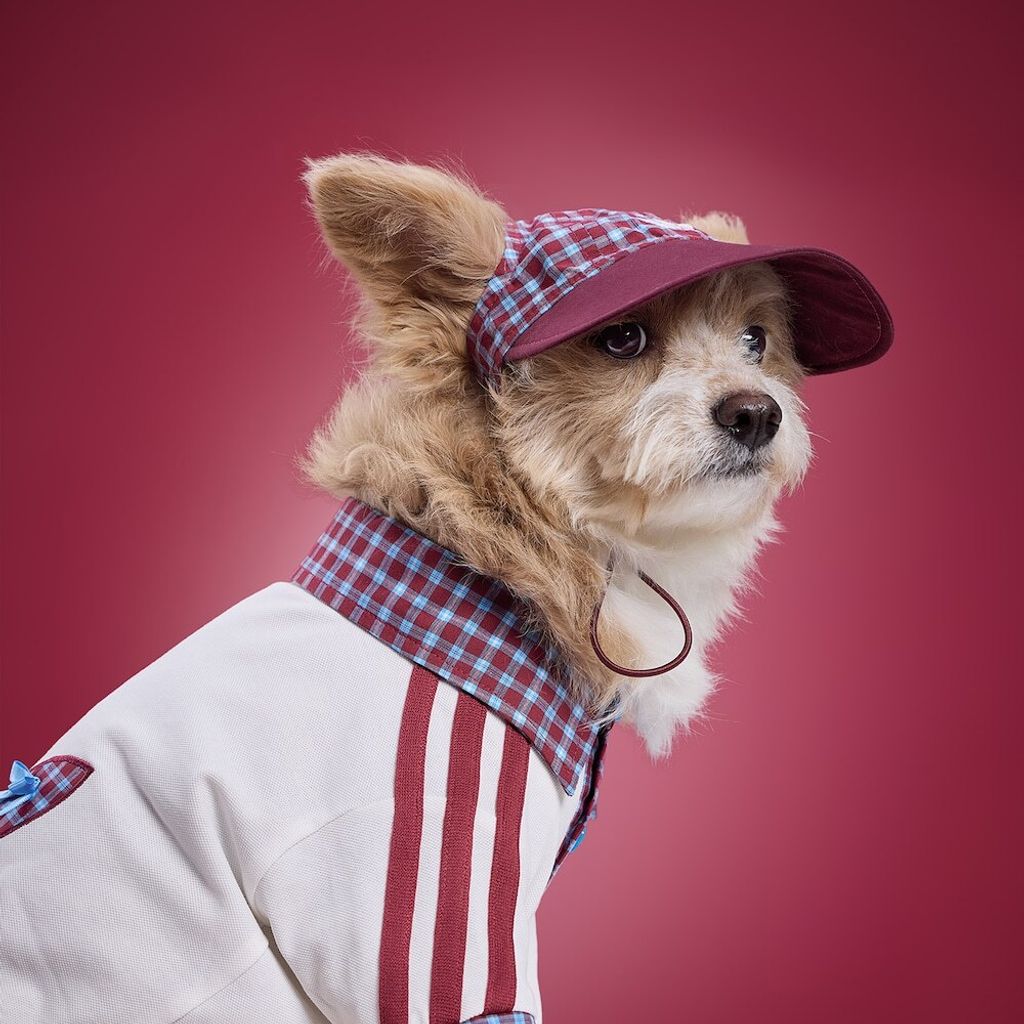 image_C64F10D6-F261-4F0B-B2D8-FEB0FBF94EC0_1775023712