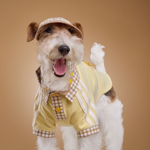 image_EB12B312-88D7-42DB-875A-6C522DBD9C6F_1775023712