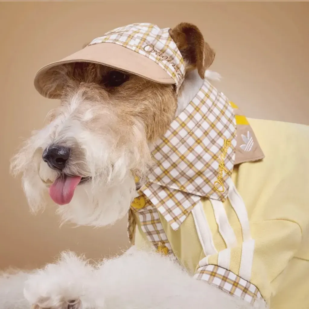 image_354FEAFB-EA4E-404C-B146-9654E6834742_1775023712