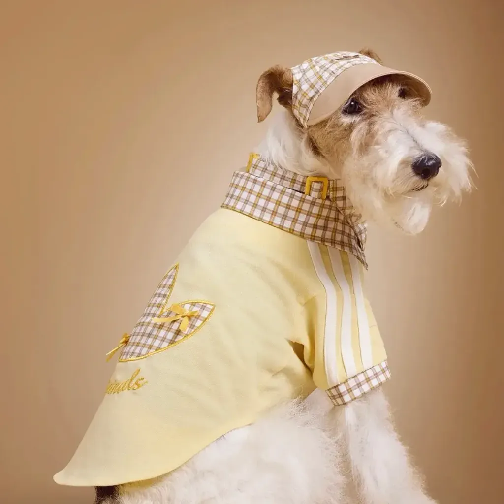 image_E43A74E1-2721-4846-A315-89D1A5135BAD_1775023712