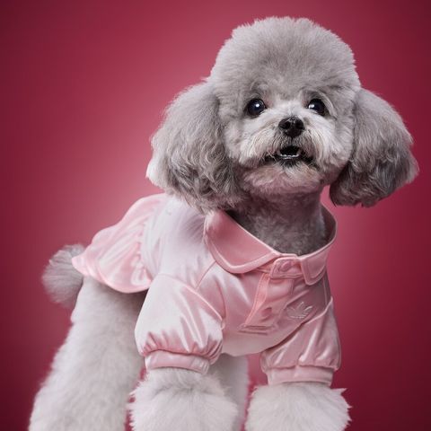 image_34B0C271-E5E1-4D55-B841-DA8CC8E2DF29_1775023813