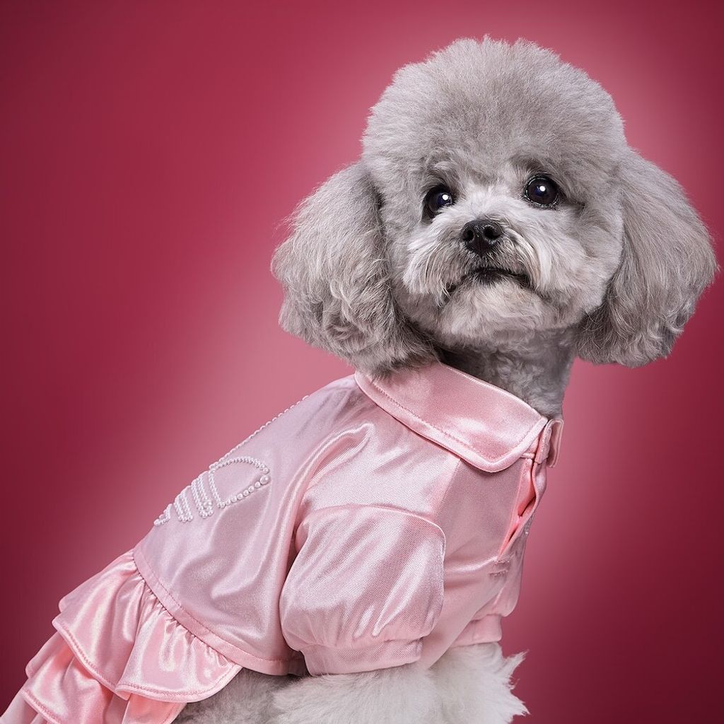 image_E97A59C3-07AF-41D1-8454-78D6685964EE_1775023813