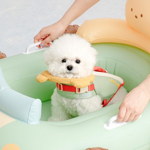 image_E7250E10-84BE-4895-ACC0-A42BEE4E0BBF_1781353732